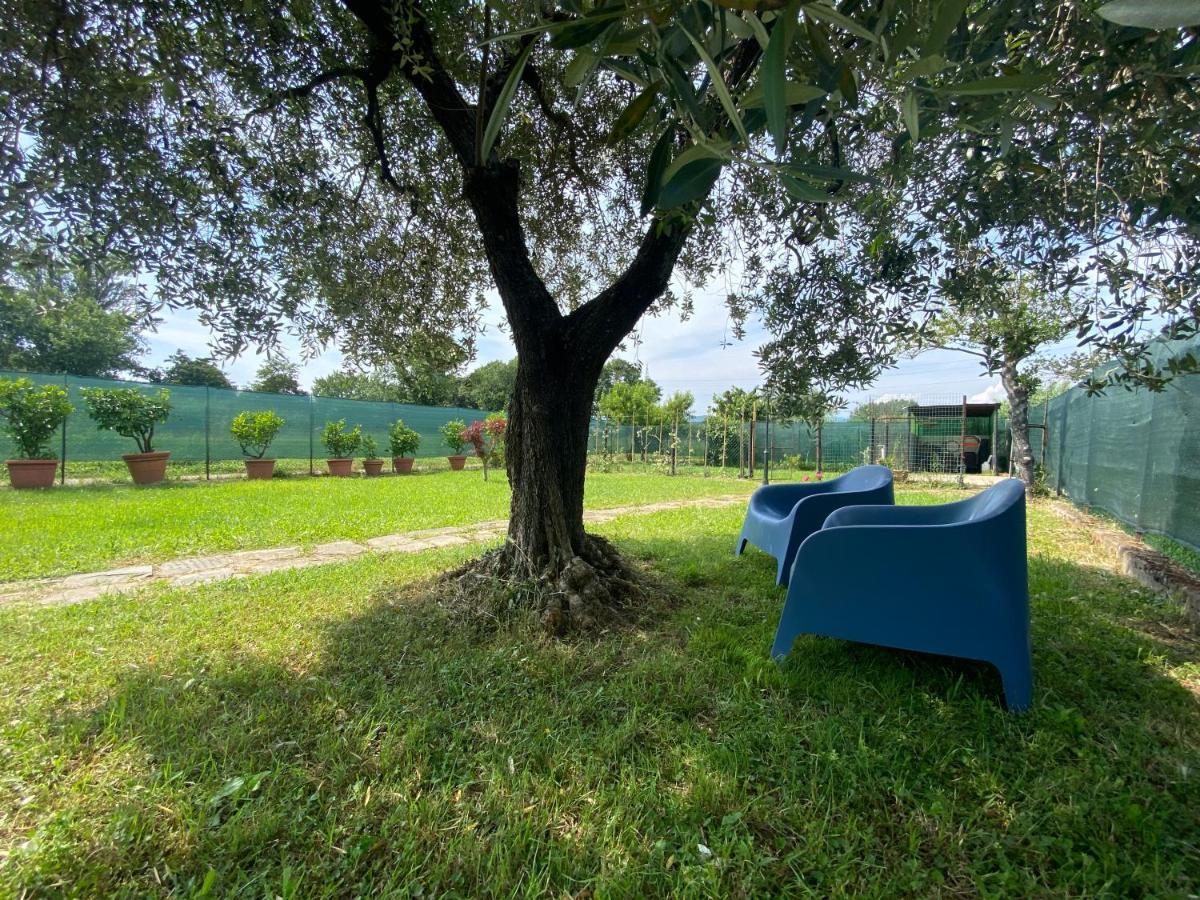 Casa Marcobando Villa Лука Екстериор снимка